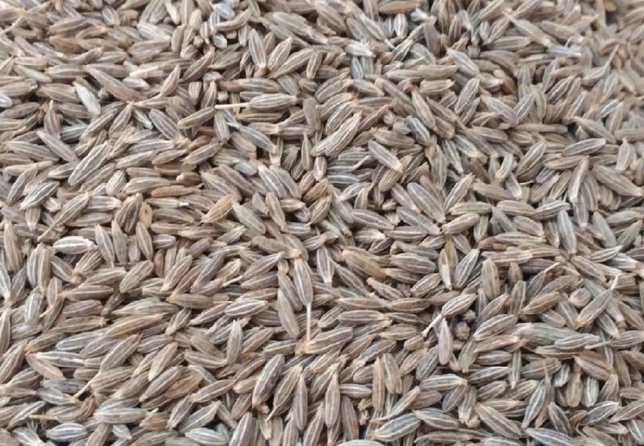 Cumin Seeds Jira - 1 Kg